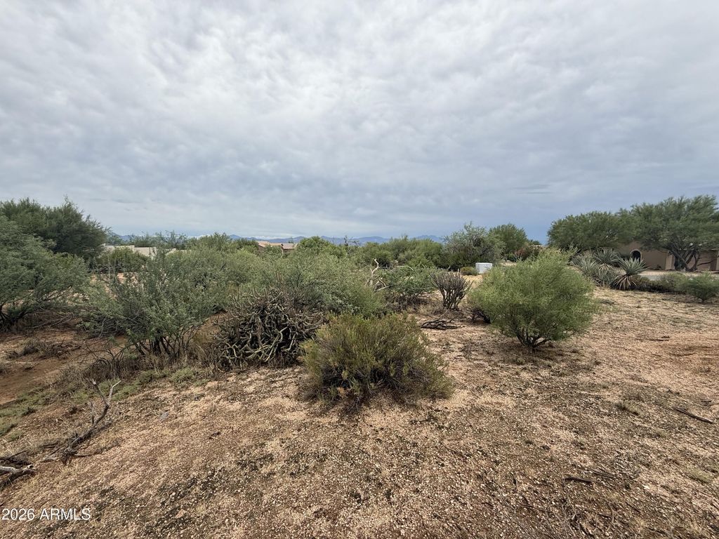 29609 N 138th Place -, Scottsdale, AZ 85262 — photo 4