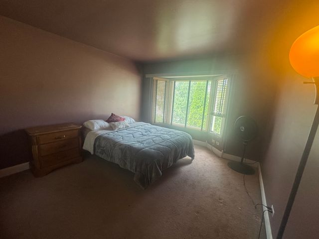 140 Julie Road, Bolingbrook, IL 60440