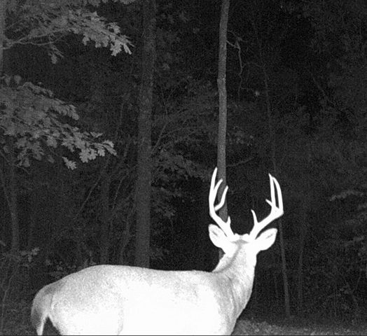 Rr 62 State Highway U, Ava, MO 65608