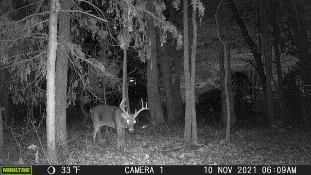 Rr 62 State Highway U, Ava, MO 65608