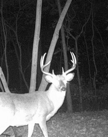 Rr 62 State Highway U, Ava, MO 65608