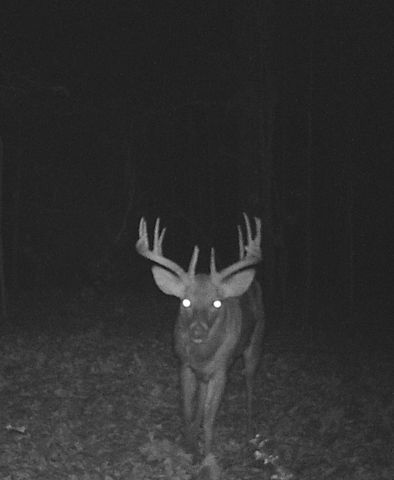 Rr 62 State Highway U, Ava, MO 65608