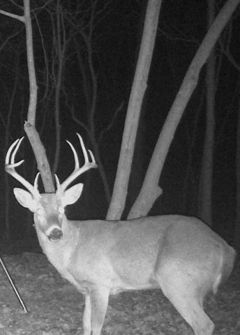 Rr 62 State Highway U, Ava, MO 65608