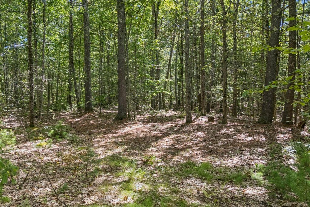TBD Knudsen Road, Gray, ME 04039 — photo 4