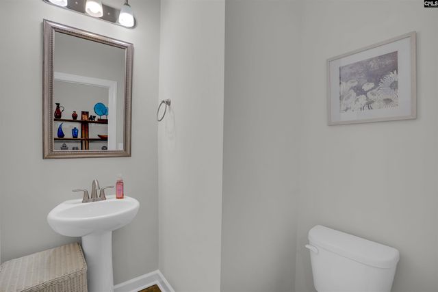 788 Xander Way, Chapin, SC 29036