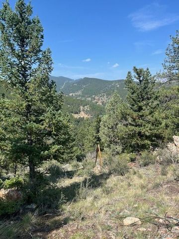 000 Raven Drive, Idaho Springs, CO 80452