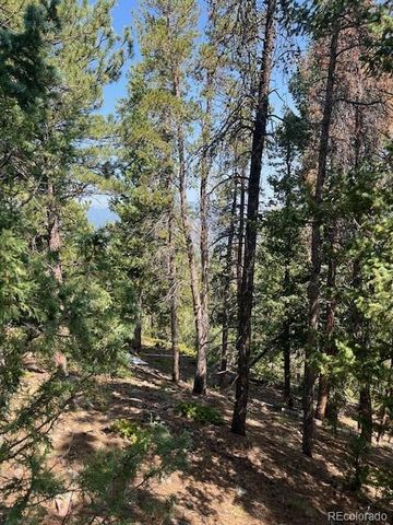 000 Raven Drive, Idaho Springs, CO 80452