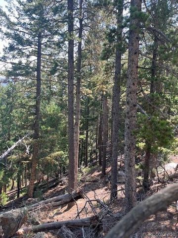 000 Raven Drive, Idaho Springs, CO 80452