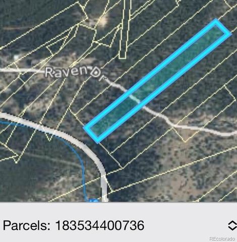 000 Raven Drive, Idaho Springs, CO 80452