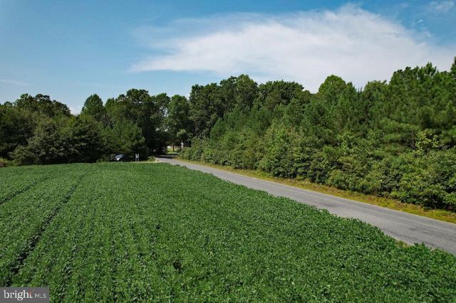 0 LEWIS MOORE ROAD, Ruther Glen, VA 22546
