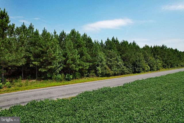 0 LEWIS MOORE ROAD, Ruther Glen, VA 22546