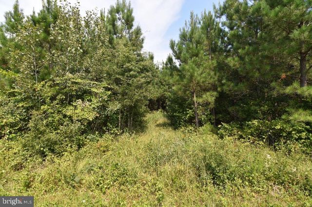 0 LEWIS MOORE ROAD, Ruther Glen, VA 22546