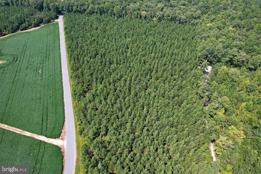 0 LEWIS MOORE ROAD, Ruther Glen, VA 22546