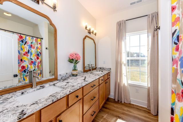 910 Sophie Drive, Greenback, TN 37742