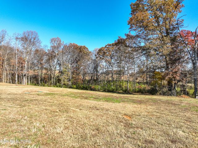910 Sophie Drive, Greenback, TN 37742