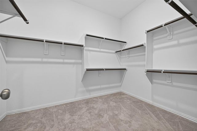 8831 Morning Glow Drive Drive, Missouri City, TX 77459