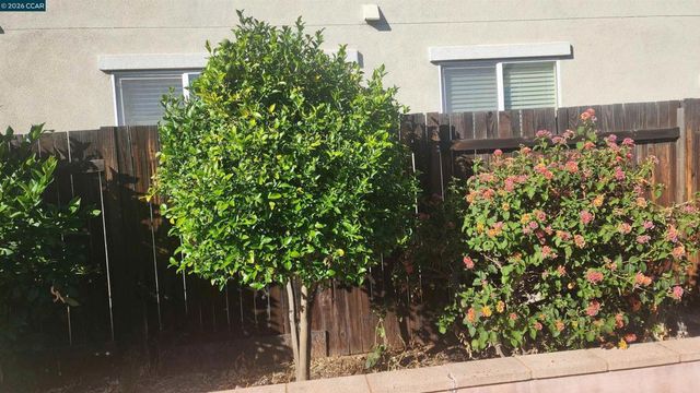 2104 Truman Lane, Oakley, CA 94561