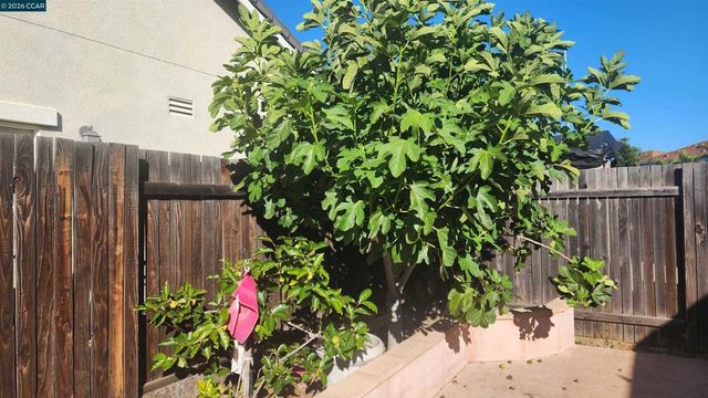 2104 Truman Lane, Oakley, CA 94561