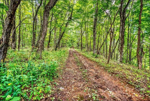 0 Cow Camp Road, Newland, NC 28657