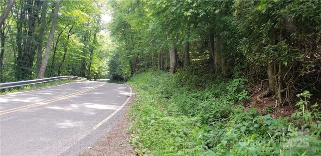 0 Cow Camp Road, Newland, NC 28657