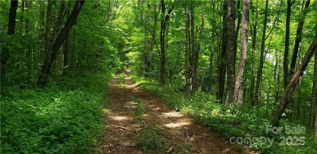 0 Cow Camp Road, Newland, NC 28657