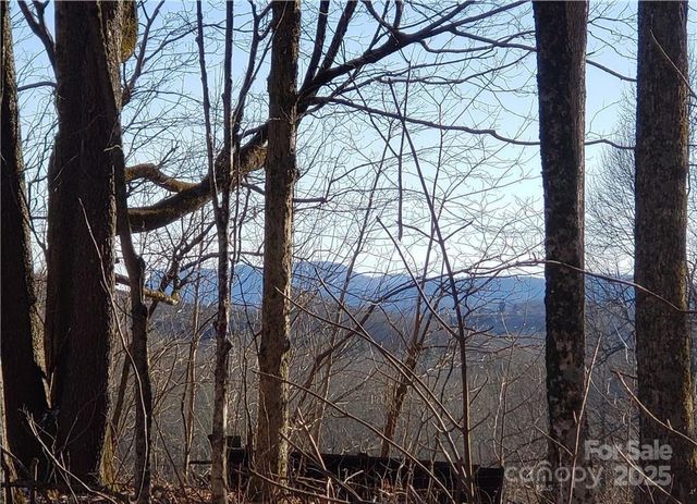 0 Cow Camp Road, Newland, NC 28657