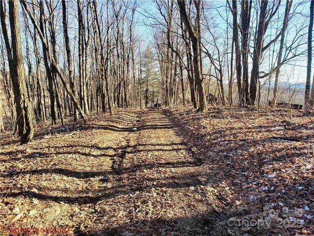 0 Cow Camp Road, Newland, NC 28657