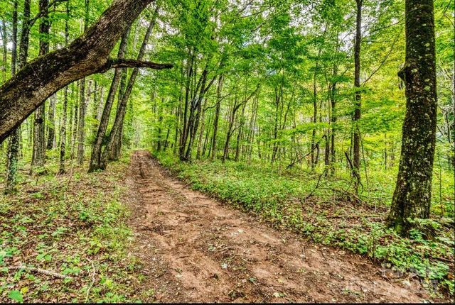 0 Cow Camp Road, Newland, NC 28657