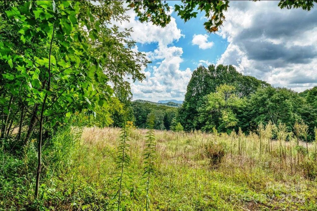 0 Cow Camp Road, Newland, NC 28657