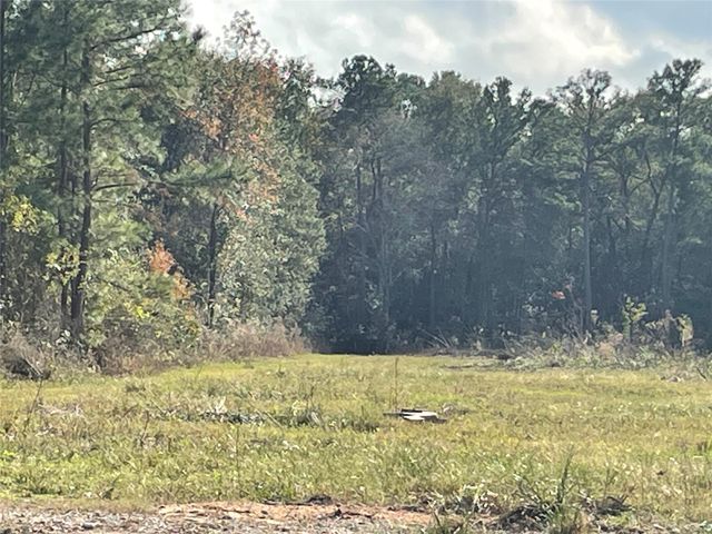 23011 Mary Lane, Porter, TX 77365