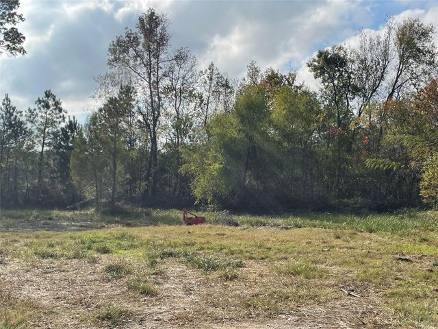 23011 Mary Lane, Porter, TX 77365