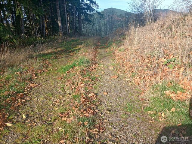 167 Wagner Road, Kelso, WA 98626