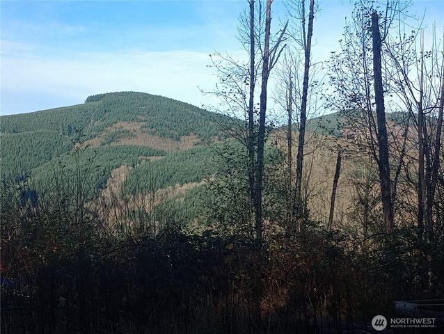 167 Wagner Road, Kelso, WA 98626
