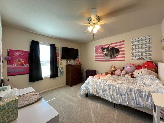 4308 Coney Island Drive, Frisco, TX 75036