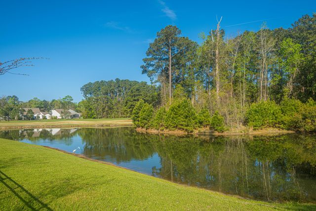 6228 Woodsedge Court, Hollywood, SC 29449