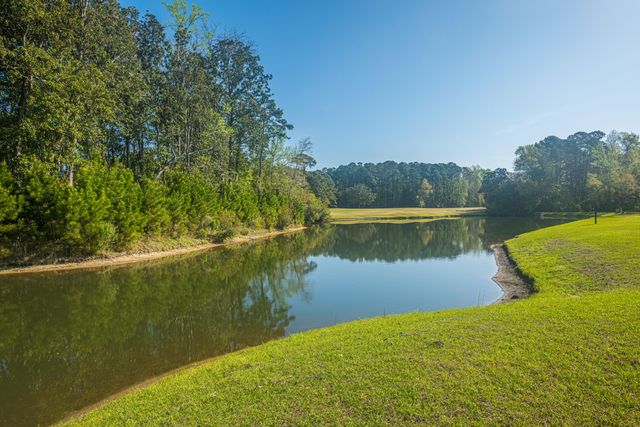 6228 Woodsedge Court, Hollywood, SC 29449