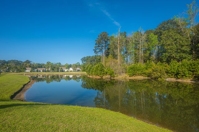 6228 Woodsedge Court, Hollywood, SC 29449