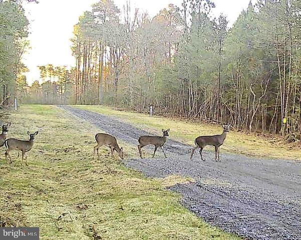 5 SEAGRASS CT, King George, VA 22485