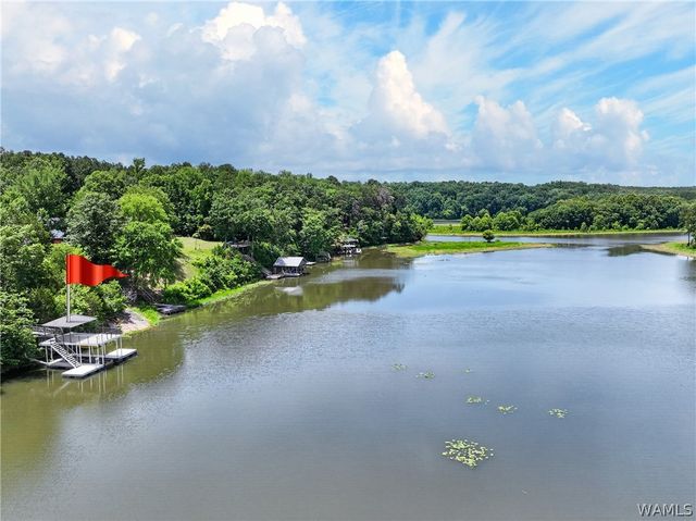 16860 NORTH RIVER, Northport, AL 35475