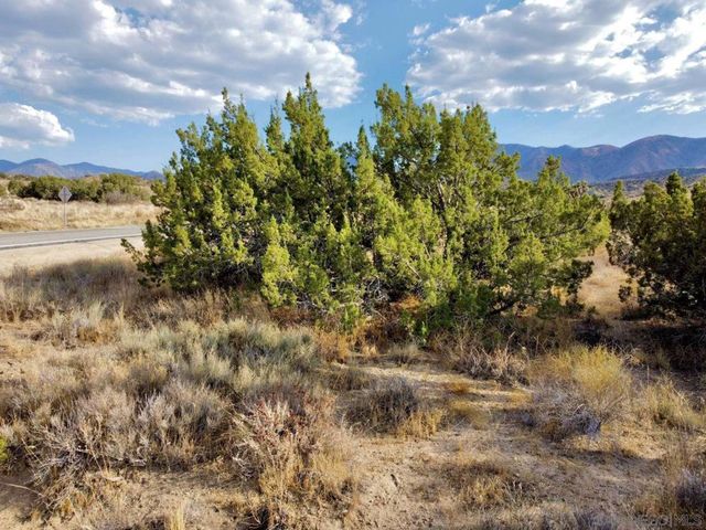 0 131st St., Juniper Hills, CA 93543