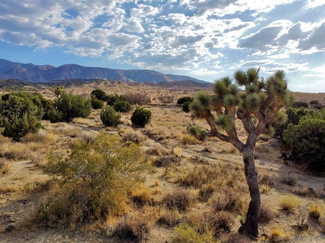 0 131st St., Juniper Hills, CA 93543