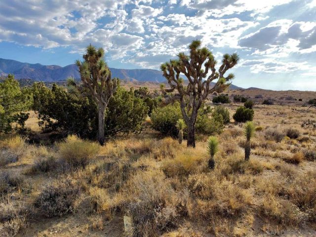 0 131st St., Juniper Hills, CA 93543