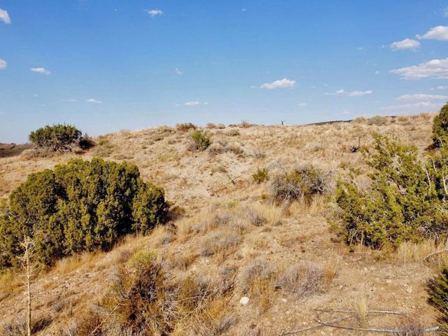 0 131st St., Juniper Hills, CA 93543