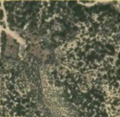 0 Dickson Hills Road, Anza, CA 92539