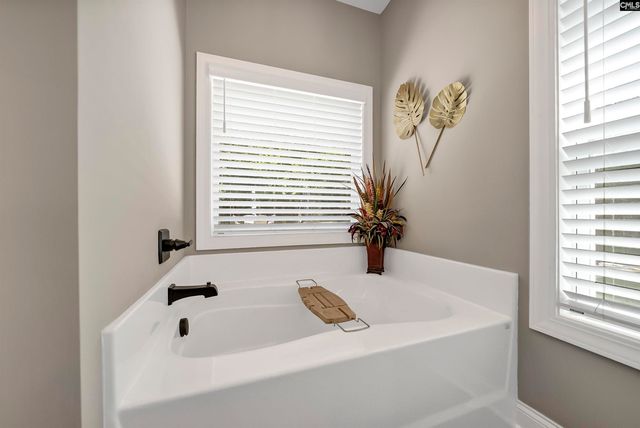 1617 Deep Cove Lane, Gilbert, SC 29054