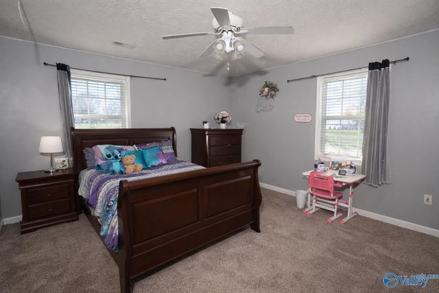 3220 County Road 356, Grove Oak, AL 35975