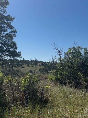 Lot 9 1796 (Deer Trail), Chama, NM 87520