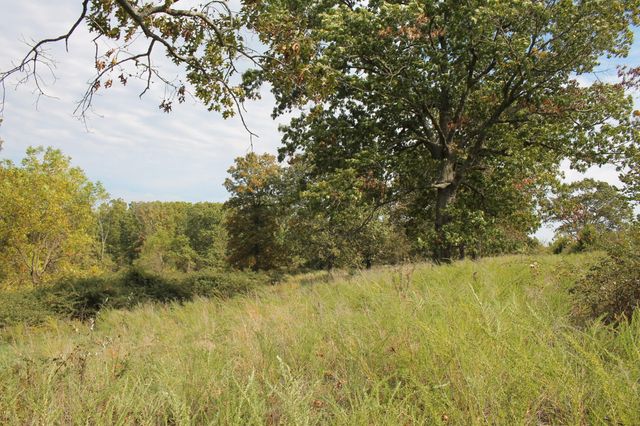 8903 General Baptist Road, Mountain Grove, MO 65711