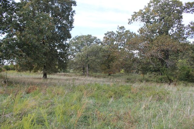 8903 General Baptist Road, Mountain Grove, MO 65711