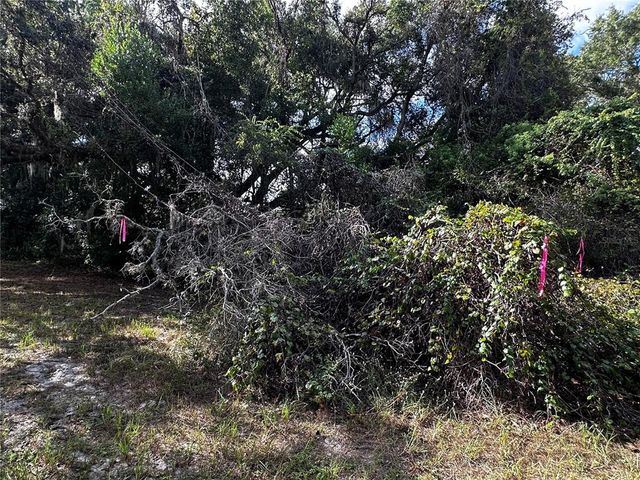 722 HIGHWAY 40 W, Inglis, FL 34449